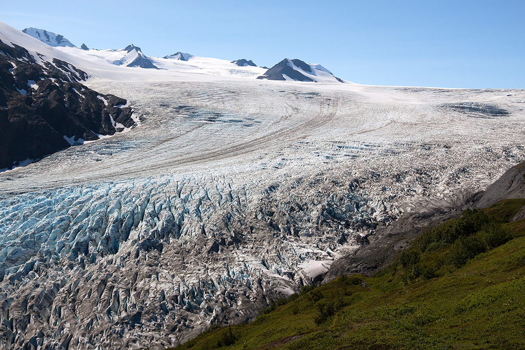 IMG_101.jpg - Exit Glacier und Harding Icefield, Kenai Fjords Nationalpark